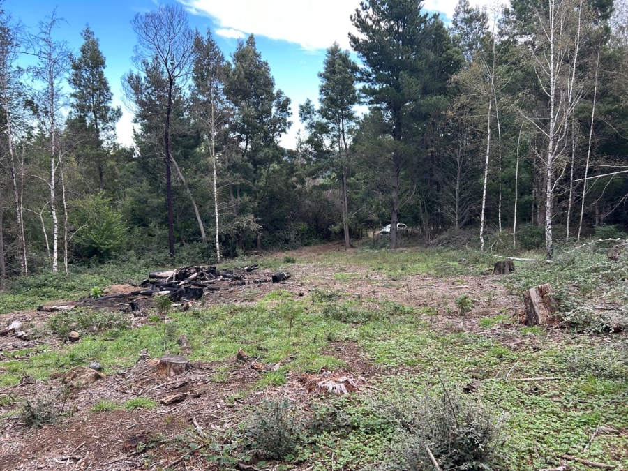 0 Bedroom Property for Sale in Hogsback Eastern Cape